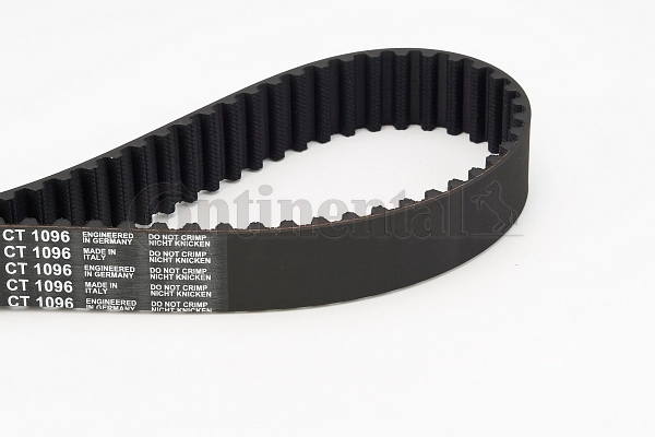 Timing Belt